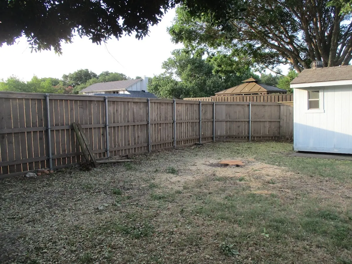 Cleared yard after professional tree removal in Woodstock